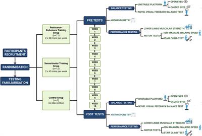 In elderly individuals, the effectiveness of sensorimotor training on postural control and muscular strength is comparable to resistance-endurance training